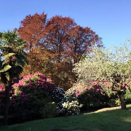 In Setting Apartamento *