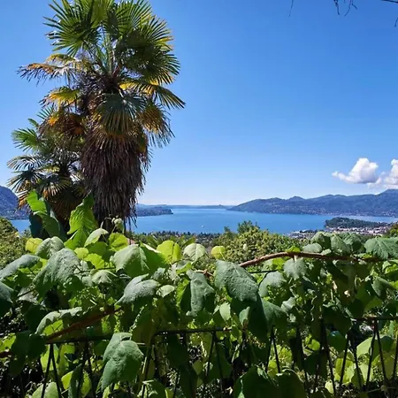 In Setting Apartment *