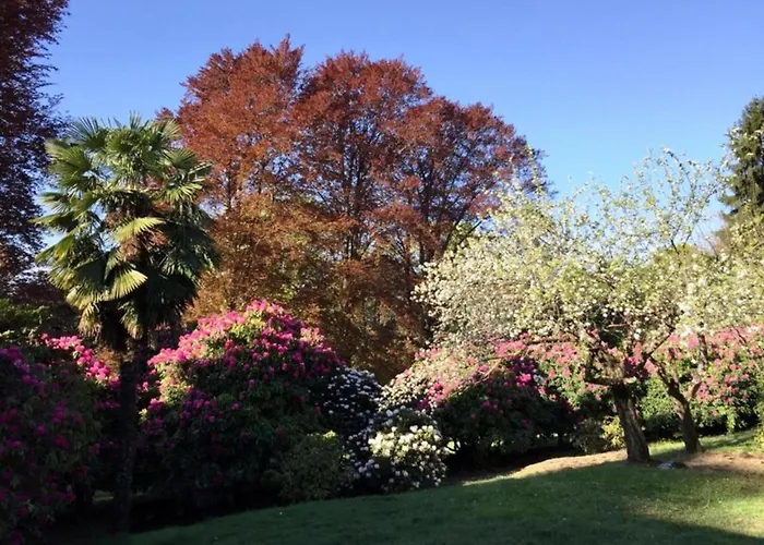 In Setting Apartamento *