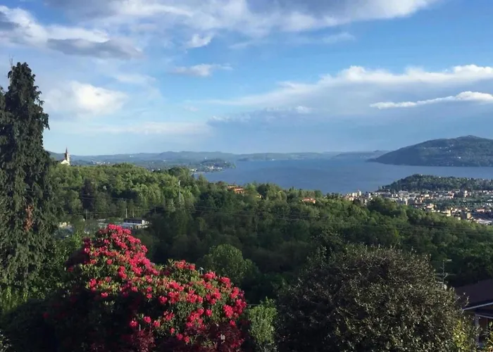 In Setting * Vignone